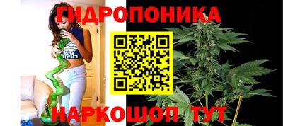 мяу мяу мука Бугуруслан