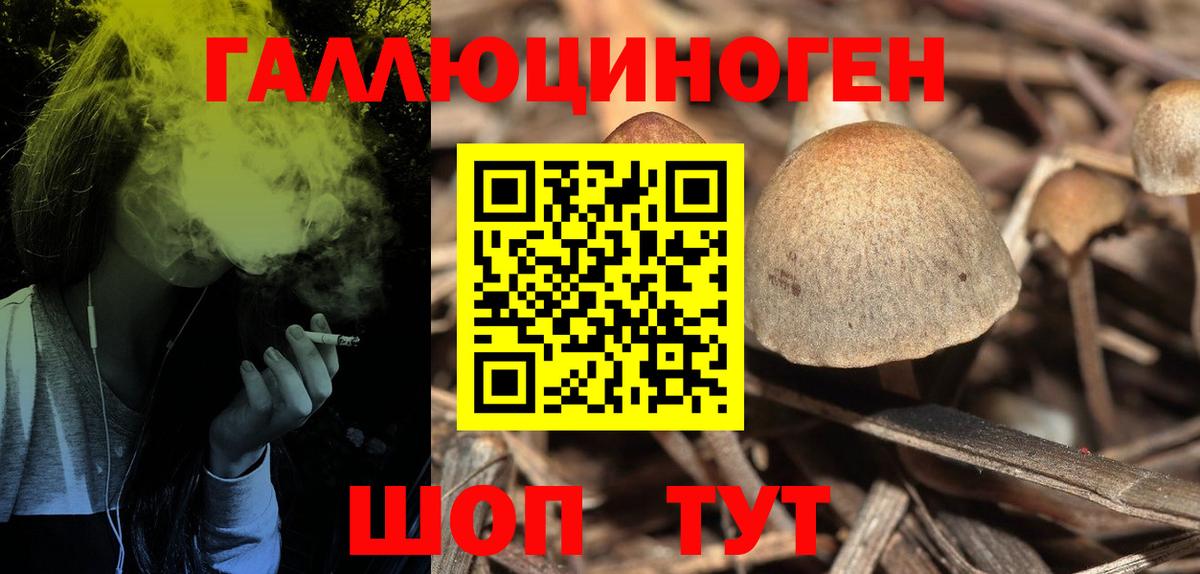 Галлюциногенные грибы Psilocybine cubensis  Галлюциногенные грибы мухоморы  Подольск  Вход с VPN 